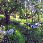 Daire Ciglieri Santermo Lari Pet&bike Friendly Free Park