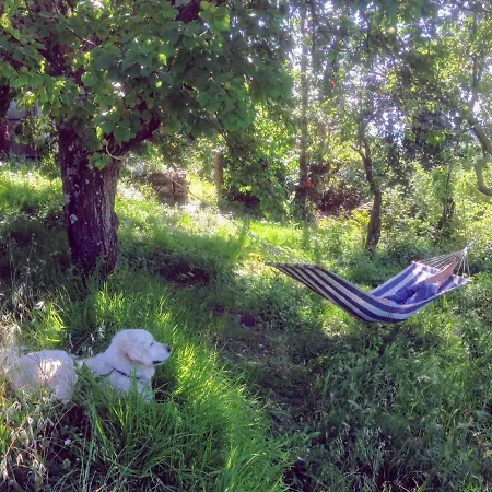 Lejlighed Ciglieri Santermo Lari Pet&bike Friendly Free Park