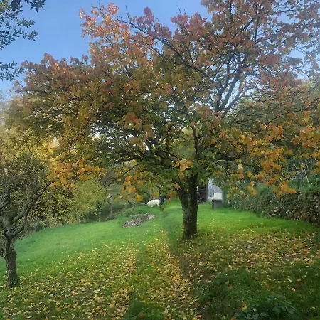 Ciglieri Santermo Lari Pet&bike Friendly Free Park *
